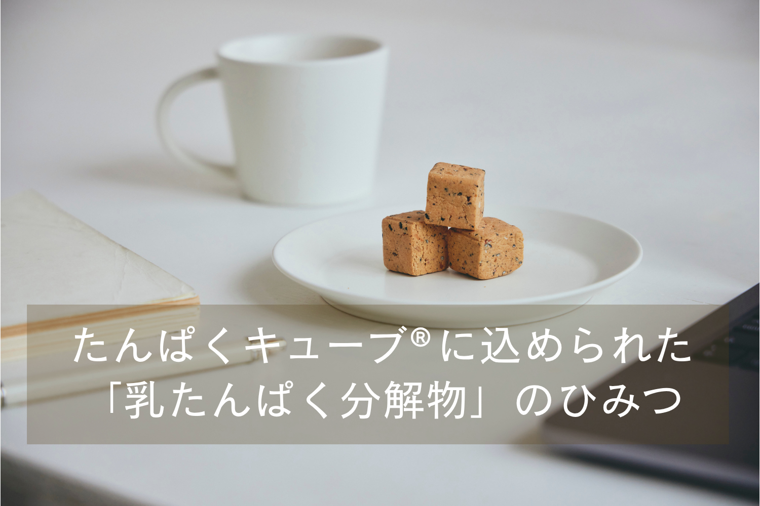 スムーズに、しっかり届く。 たんぱくキューブ®に込められた「乳たんぱく分解物」のひみつ ／Dear me 管理栄養士ブログ