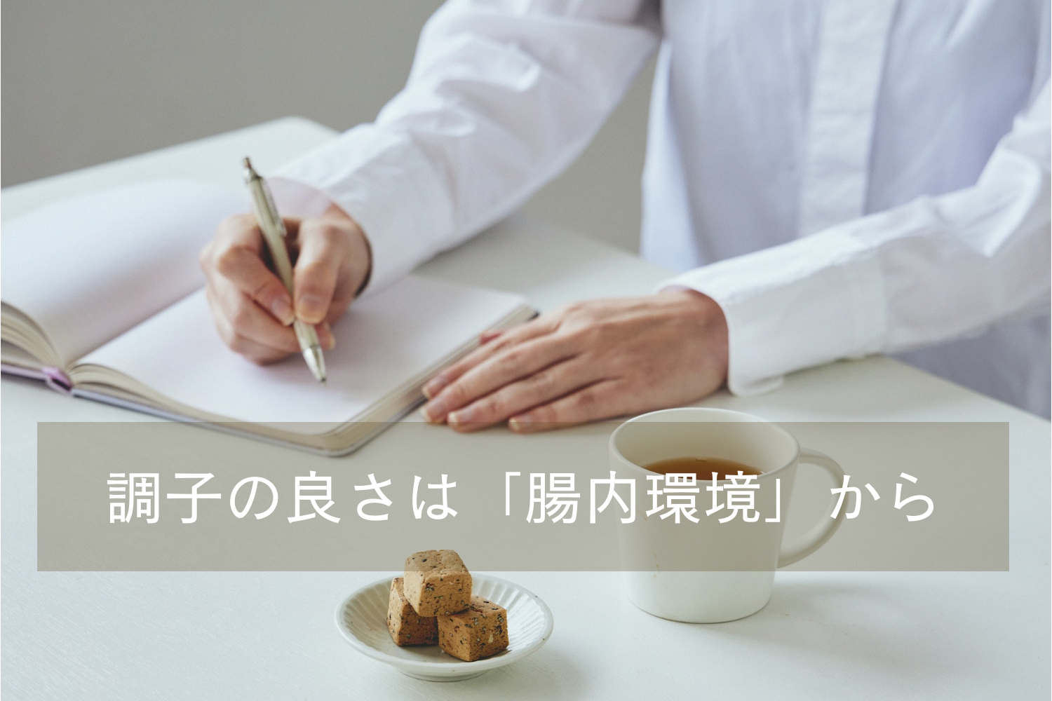 調子の良さは「腸内環境」から。内側を整えて「たんぱく質」を活かすコツ ／Dear me 管理栄養士ブログ
